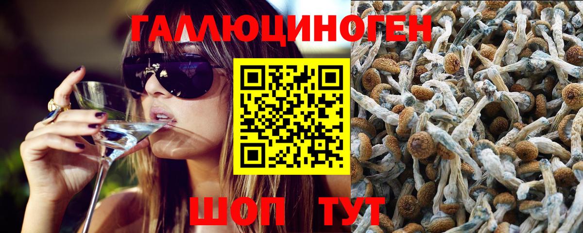 Бор  Галлюциногенные грибы мухоморы  Вход с VPN 